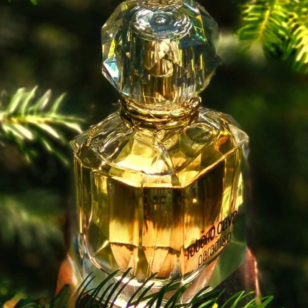Paradis de Roberto Cavalli